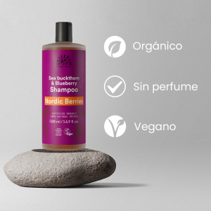 Pack 2 : Champú Bayas Nórdicas Urtekram 2