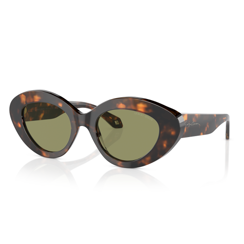 Giorgio Armani 0AR8188