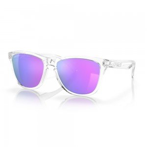 Oakley Frogskins OO9013
