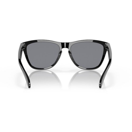 Oakley Frogskins OO9013