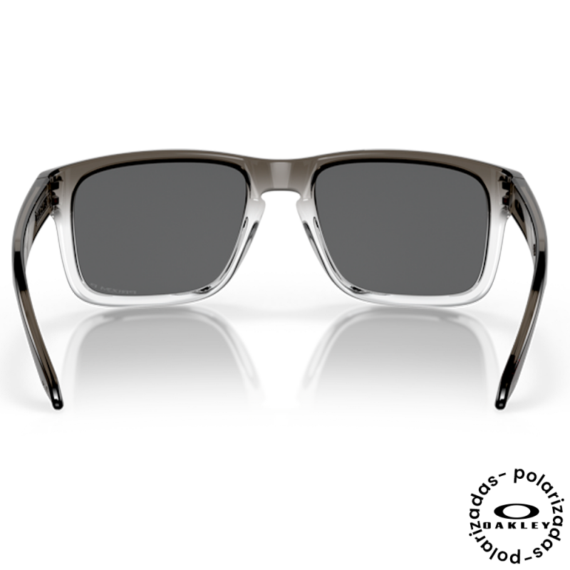 Oakley Holbrook 0OO9102